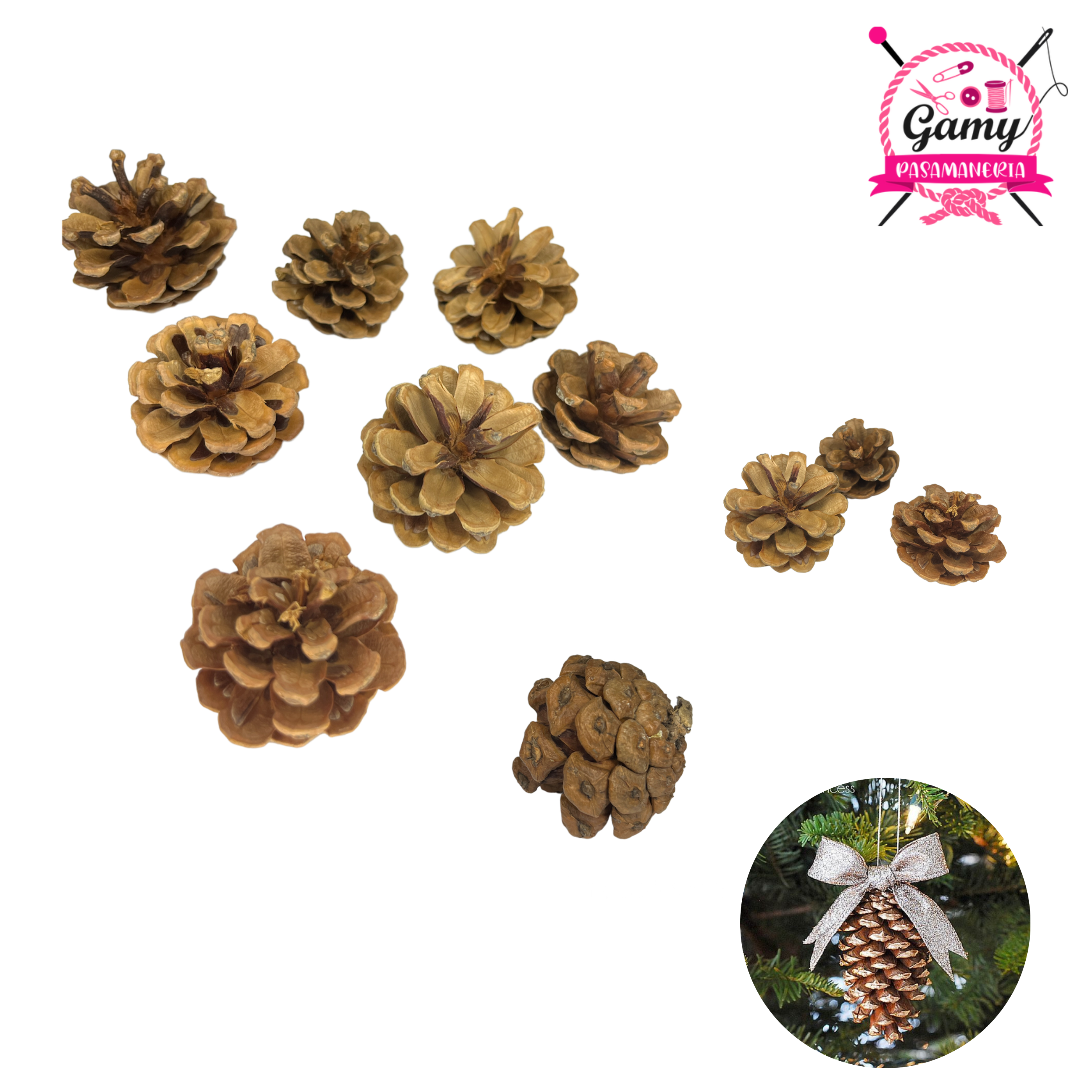 PIÑAS PINO DE NAVIDAD – gamypasamaneria